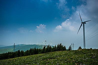 《古墓丽影》系列游戏作曲兼音效师因贷款欺诈入狱